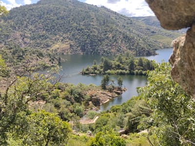 The image captures a scenic view of a section of the Douro River in Alijó, Portugal. The river, appearing as a dark, still body of water, is framed by lush green vegetation and hills. An island with trees and exposed rock formations sits in the middle of the river. A wooden boardwalk bridge is visible near the bottom of the frame, nestled among the greenery. The foreground is filled with trees and foliage, partially obscuring the view from what appears to be a rocky overlook. A large, stone formation occupies the right corner of the image, adding to the sense of being at an elevated vantage point. The hill in the background is covered with trees. The sky is partly cloudy.