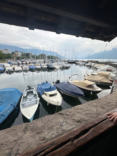 The image captures a detailed view of the Port de La Tour-de-Peilz on Lake Geneva, Switzerland, from beneath a dark wooden overhead structure. The foreground features a weathered stone quay and a parallel wooden rail; a human hand rests on this rail in the bottom-right corner. The harbor water is calm, reflecting the overcast sky and the numerous docked vessels.
The marina is densely populated with boats, including a mix of sailboats with visible masts and various motorboats. Many are covered with protective tarps or canvas covers in shades of blue, beige, and grey. Prominent in the immediate foreground are five boats: a partially visible boat with a blue cover, a light-grey open skiff, a white motorboat with an outboard engine and a blue tarp, a dark blue motorboat also under a blue tarp, and a light-colored motorboat with a beige canvas cockpit cover.
In the middle ground, a stone breakwater extends into the lake from the right, culminating in a small white lighthouse. A red circular prohibitory sign with a diagonal line is affixed to a pole adjacent to the breakwater. The distant left shoreline displays multi-story buildings and trees. The background features large mountains partially obscured by a uniformly overcast sky.