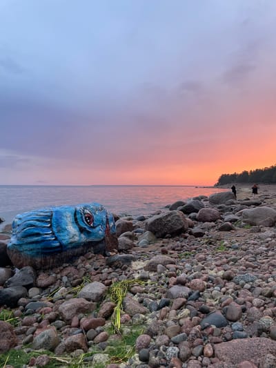 The image depicts a rocky shoreline at dusk in Luzhki, Russia. In the foreground, a large, dark-colored rock is painted to resemble a blue creature with a red eye. The shoreline is covered in numerous stones of varying sizes and colors, with some patches of green algae and dried grass. The sea is calm, reflecting the colors of the sunset, which casts a vibrant orange and pink glow across the sky. In the background, a tree line runs along the horizon, and two figures can be seen standing on the beach, observing the sunset. The overall atmosphere is serene and picturesque.