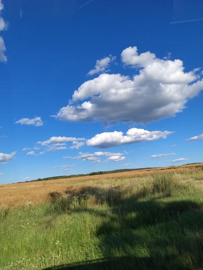 The image shows a landscape view of a field with green grass in the foreground and a golden field in the background, with a line of trees at the horizon. The sky is blue with scattered white clouds, one of which is large and puffy. There is a faint contrail from an airplane visible in the upper right portion of the sky. The scene is an outdoor, rural environment.