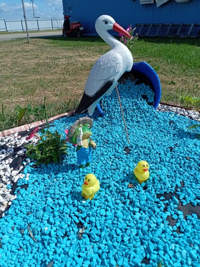 A decorative garden display features several figurines situated amongst bright blue gravel. Dominating the scene is a large, white stork figurine with black accents and a red beak, leaning over a blue overturned pot from which the gravel appears to spill. In front of the stork, a green frog figurine wearing blue overalls and a straw hat stands next to a small green plant with pink flowers. Two smaller yellow duck figurines are placed further into the gravel area. The garden bed is bordered by black landscaping fabric and white and grey stones. In the background, a red scooter is parked on a grassy area in front of a blue building. The sky is blue with some clouds, suggesting it is a sunny day. The location is identified as Пралетарскі сельскі Савет, Belarus. The overall impression is a whimsical outdoor decoration.