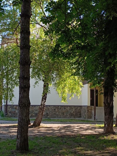 The image depicts an outdoor scene with trees in the foreground and a building in the background. The trees are lush and green, with sunlight filtering through their leaves, casting dappled shadows on the ground. The building appears to be a light-colored structure with a stone foundation and dark doors. There are steps leading up to the entrance. The ground is covered with grass and some fallen debris, possibly pinecones. The overall impression is one of a serene, possibly park-like setting. The specific location in Ust-Dzheguta, Russia, is not evident from the visual information alone.