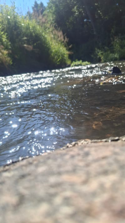 The image captures a close-up, low-angle view of a shallow, sun-dappled river or stream. Sunlight glints off the water's surface, creating numerous bright, sparkling highlights. The water appears clear, with the riverbed visible in some areas, showing a mix of sand and small stones. On the left side of the frame, the water's edge is marked by a blurred, light-colored, rough-textured surface, likely a rock or embankment. The background consists of lush green foliage and trees, with the bright sky visible through the canopy in the upper left corner. The scene is one of a natural, outdoor environment. The location is specified as Дзяржынскі сельскі Савет, Belarus. There are no people or animals visible in the image.