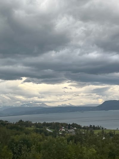 The image presents a wide panoramic landscape, likely captured from an elevated position overlooking a fjord near Nordkjosbotn - Gárgán, Norway. The upper half of the frame is dominated by dense, dark grey stratocumulus clouds, with intermittent brighter, lighter grey patches indicating obscured sunlight or breaks in the cloud layer. Below the clouds, a vast body of calm, dark blue-grey water, consistent with a fjord, stretches horizontally across the midground. On the far side of the fjord, a distant mountain range rises, displaying rugged peaks with hints of lighter snow or rock formations on their upper slopes, appearing muted blue-grey due to atmospheric haze. A closer, darker green mountain or large hill slopes down towards the fjord on the far right. Along the nearer shoreline of the fjord, a small coastal settlement is visible, comprising several scattered buildings with predominantly red and grey roofs, interspersed with green fields and clearings. A winding road traverses parts of this settlement. The immediate foreground is filled with dense, lush green foliage, including deciduous trees and bushes, partially obscuring the lower parts of the settlement and indicating an elevated vantage point. No individuals, specific actions, or interactions are discernible within the scene.