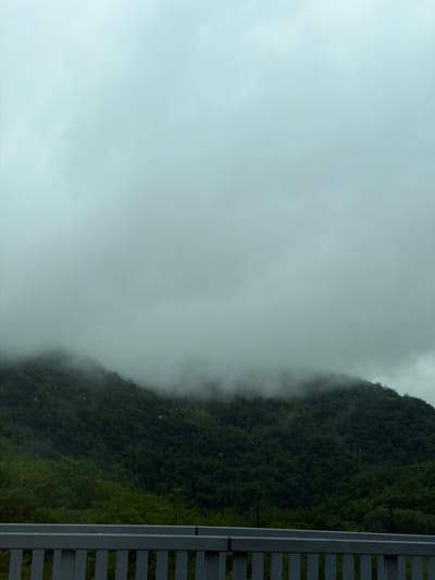 The image presents a landscape partially obscured by heavy fog or low-lying clouds. A densely forested mountain slope is visible, its details softened by the mist. A gray, slatted barrier or fence occupies the right edge of the frame. The overall tone of the image is muted due to the overcast conditions. There is no information to confirm this is Grigalati, Georgia.