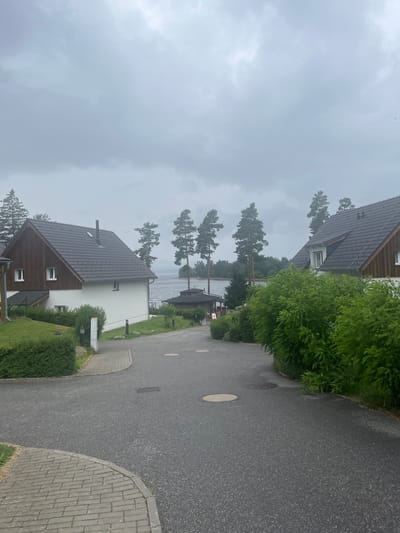 The image depicts a grey, overcast day in a suburban or resort area near a body of water. In the foreground, a paved road curves to the right, with a section of brick sidewalk on the left. Several houses with dark tiled roofs and white exteriors are visible, interspersed with well-maintained green bushes and manicured lawns. Tall pine trees are scattered throughout the scene, with some lining the distant shore of a lake or large river. The water itself appears calm, reflecting the grey sky. A small, dark-roofed building with a red sign is situated near the water's edge. The overall atmosphere is tranquil and somewhat muted due to the weather conditions. No people are present in the image.