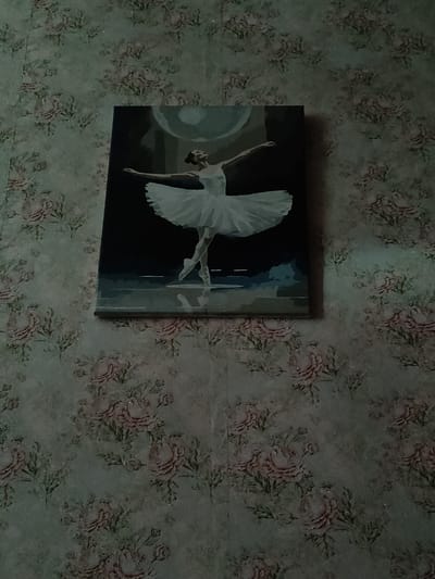A painting of a ballerina in a white tutu is displayed on a wall. The ballerina is captured mid-pose, with arms extended and one leg lifted. The background of the painting is dark with a circular, illuminated form, possibly a moon or spotlight. The wall itself is covered in a floral wallpaper featuring pink and white flowers with green leaves. The image is taken from a slightly downward angle, showing the painting hanging on the wall. The exact location in Ternovka, Moldova is not specified in the image.