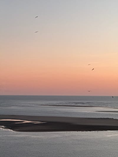The image depicts a serene coastal scene, likely at dusk or dawn, with a soft gradient of pastel colors in the sky, transitioning from a pale blue at the top to a warm peachy-pink towards the horizon. Several seagulls are captured in flight against this tranquil sky. The foreground is dominated by the ocean, with calm waters reflecting the sky's colors. A sandbar or island is visible in the mid-ground, its dark silhouette contrasting with the lighter water. The overall impression is one of peacefulness and natural beauty. This scene is consistent with the coastal landscapes found in La Teste-de-Buch, France, particularly along the Dune du Pilat and the Bassin d'Arcachon, known for their expansive beaches, sandbars, and abundant birdlife.