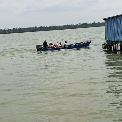 The image depicts a blue open motorboat traversing a body of water in Koko, Nigeria, under an overcast sky. A dark-clad individual operates a black outboard motor from the stern, propelling the boat and generating a visible wake. Four additional individuals are seated as passengers forward of the operator; at least one appears to be a child, while the others are adults or older adolescents, wearing light-colored tops. To the right, a blue corrugated metal structure is visible, supported by wooden stilts elevated above the water, with green foliage growing near its base. The water surface exhibits ripples and appears murky green-brown. In the background, a dense line of green trees forms the distant shoreline. A small, light-colored object floats in the water to the left of the boat.