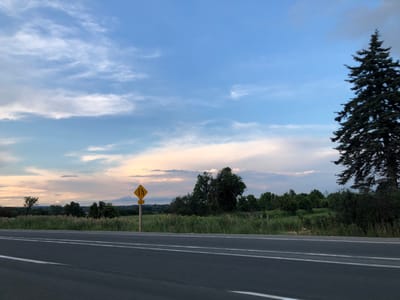 This media file captures a scenic view from a road, likely in King, Canada, during what appears to be late afternoon or early evening. The sky is a prominent feature, filled with a mix of blue and wispy white and grey clouds, suggesting partly cloudy weather. A large evergreen tree stands tall on the right side of the frame, its dark needles contrasting with the lighter sky.

The foreground consists of a paved road with distinct white lane markings, indicating it's a multi-lane highway or a significant road. To the left of the road, a yellow diamond-shaped sign with black markings is visible on a pole. The sign depicts two vertical lines narrowing towards the top, with "300 m" written below. This is a traffic sign indicating a lane reduction ahead in 300 meters.

Beyond the road and sign, the landscape unfolds with a stretch of tall, dry grass or reeds, followed by a line of diverse trees and shrubs. The terrain appears to be gently rolling hills covered in green fields and more trees in the distance, creating a sense of rural or semi-rural scenery. The light in the image is soft, hinting at the approaching sunset. No people are visible in the media file. The overall mood is peaceful and natural, with a touch of anticipation conveyed by the traffic sign.