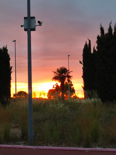 The image captures a vibrant sunset in Nàquera / Náquera, Spain, illuminating the horizon with intense orange and yellow light, transitioning to pink and pale blue-grey in the upper sky.
In the foreground, a dark red curb with a lighter concrete strip runs along the bottom, bordering an area of dry, wild grass and weeds. A prominent metallic grey pole stands in the left-center, featuring a rectangular box with two white security cameras mounted on it, facing outwards. Below the box, a small white sticker on the pole shows partial text, possibly "VEN 1 2R3".
Other dark, thin poles, likely streetlights, are silhouetted against the bright sky. The scene is framed by tall, dark, cypress-like trees on both the left and right sides. In the midground, a distinct palm tree is silhouetted against the brilliant sunset glow, accompanied by other dark bushes and trees that create a stark contrast against the fiery sky.
The scene depicts an outdoor setting at dusk, characterized by the dramatic natural light of the sunset highlighting a mix of natural vegetation and urban infrastructure elements like poles, streetlights, and security cameras.