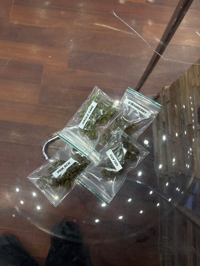 The image, taken in Bois-Colombes, France, displays four clear plastic re-sealable bags containing green, dried botanical material, appearing as fragments or small buds. The bags are arranged on a transparent, reflective surface, likely glass. Each bag features a white adhesive label identifying its contents: "JUNGLE CAKE" (top left), "STRAWBERRY" (top right), "PINK ACAI" (bottom left), and "GELATO" (bottom right).
The reflective surface shows multiple circular light reflections from an overhead source, a partial reflection of a wooden background structure, and a thin linear scratch or crack in the upper right quadrant. Beneath this surface, a wooden floor with distinct planks is visible. A silver-colored metal ring or handle is partially visible under the bag labeled "PINK ACAI." In the lower left, reflections of dark-colored footwear are apparent, indicating the presence of a person. The objects remain static within the frame.