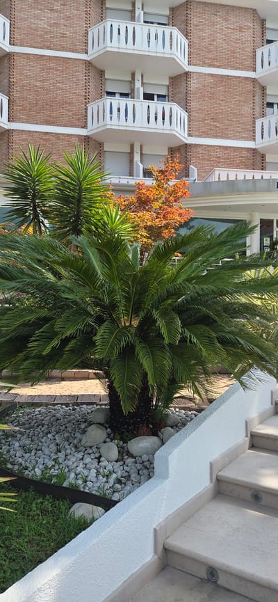 The image depicts the exterior of a building with a brick facade and white balconies. In the foreground, lush green plants, including a palm tree and a yucca tree, are visible. The plants are situated in an area covered with small white stones and larger gray rocks. To the right, a set of light-colored stone steps with embedded lights leads upwards, bordered by a white textured wall. The overall scene suggests an outdoor area associated with a residential or hotel property, likely in a warm climate given the tropical vegetation. The backdrop shows a typical European architectural style with multiple floors and balconies. The location is identified as Lignano Sabbiadoro / Lignan, Italy.