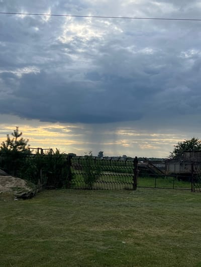 The image shows an outdoor scene with a wire fence in the foreground. Beyond the fence, there is a grassy area with some trees and shrubs. In the background, there are buildings and a large, cloudy sky with rays of sunlight breaking through. The scene appears to be a rural area, possibly in the city of Pivkino, Russia, given the context provided. The lighting suggests it is either early morning or late evening. There are no people visible in the image.