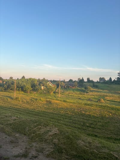 This is an outdoor, eye-level, full-shot photograph taken during the day in Краснабярэжскі сельскі Савет, Belarus. The image depicts a rural landscape with a vast expanse of clear blue sky dominating the upper portion of the frame. Below the sky, a gentle slope of a grassy field descends, bathed in the warm golden light of what appears to be either sunrise or sunset. The grass in the foreground is mown and slightly disheveled, with patches of dry straw visible. Further back, the field transitions to taller, greener grass. Scattered throughout the midground are haystacks, suggesting recent agricultural activity. A line of trees forms a dense green buffer across the middle distance, behind which several rustic houses with visible roofs are nestled. Two wooden utility poles are prominent in the left and right midground, with thin wires stretching between them. A dirt path or road is visible in the lower left corner of the image. The overall scene evokes a peaceful, rural atmosphere.