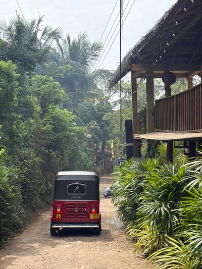 A tuk-tuk, red and black with "FOR HIRE" marked on its side, is parked on a dirt road. Lush green vegetation frames the vehicle, with glimpses of trees filling the background. Above, a building with a thatched roof overhangs the scene. Electrical wires stretch across the sky, adding a modern element to the natural landscape.
