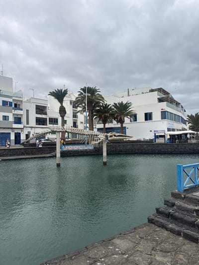 The image depicts a canal scene in Arrecife, Spain, under a cloudy sky. Along the canal, there are white buildings with blue accents and palm trees. A pedestrian bridge with a blue railing crosses the canal. A whale skeleton sculpture spans from one side of the canal to the other over the bridge. People are visible on the bridge and along the canal path. The canal walls are made of dark rock.