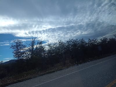 A road stretches into the distance under a cloudy sky with patches of blue peeking through. Trees line the roadside, casting dark shadows. A few trees stand out with bare branches. Low-lying vegetation fills the space between the road and the trees. A distant hill is faintly visible in the background. The scene suggests a remote, possibly rural, landscape.
