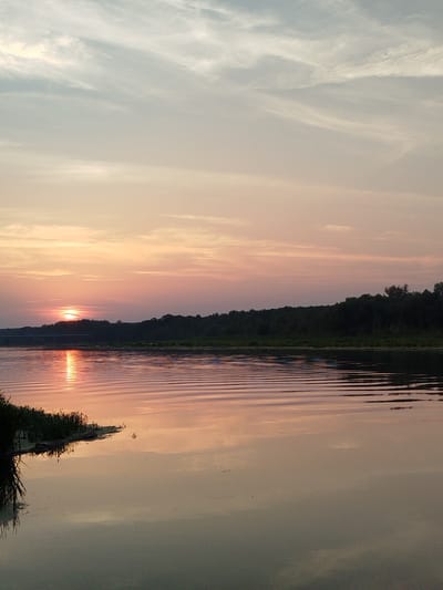 A tranquil sunset over a body of water is depicted. The sky transitions from pale blue at the top to soft pink and orange hues near the horizon, with wispy clouds scattered across it. A dark, treelined shore forms the background. The water's surface is rippled, reflecting the colors of the sky and creating a shimmering effect. There is a patch of green vegetation on the left bank. No people or animals are visible. The scene suggests a peaceful natural environment, likely a lake or river. The image does not provide any information about the city of Topolina, Poland.