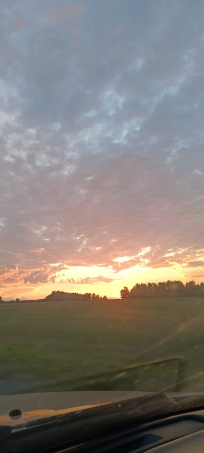 An outdoor, eye-level, vertical shot captures a scenic sunset over a rural landscape. The sky is filled with a gradient of colors, from pale blue and gray at the top to soft pinks and oranges near the horizon. Scattered clouds create texture in the sky. A line of dark trees marks the horizon, silhouetted against the bright sky. In front of the trees, a wide, green field stretches into the distance. The foreground shows the dashboard of a vehicle, with reflections of the sunset visible on its surface. The image appears to be taken from inside a car, looking out towards the sunset. The location is identified as Frolovka, Russia, which suggests a rural setting with agricultural land.