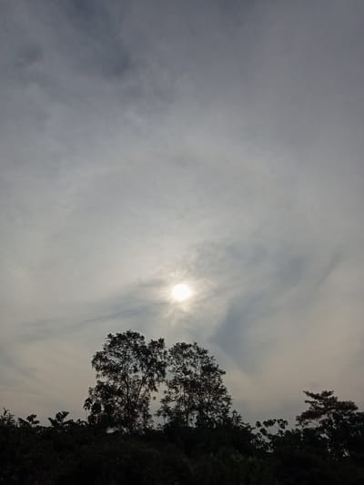 The image shows a cloudy sky with the sun visible as a bright, diffused circle. In the foreground, silhouetted against the sky, is a line of trees and vegetation. The trees are varied in size and shape, with some appearing more full and leafy than others. The overall impression is of an outdoor scene, possibly a natural landscape or a park, under an overcast sky. The specific location in Teluk Kenidai, Indonesia, is not visually identifiable from the image itself.