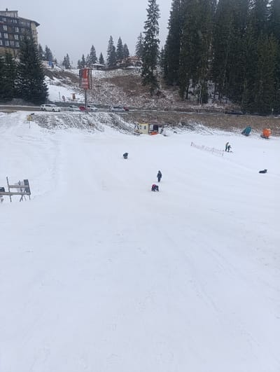 The image depicts a snow-covered winter scene in Pamporovo, Bulgaria, under an overcast sky.
In the foreground, a wide expanse of white snow occupies the lower two-thirds of the frame. Several individuals are present on this snowfield, engaged in recreational activities. One person, dressed in dark clothing, is actively sliding downhill on a sled or mat in the mid-left portion of the snowfield. To their right, two individuals, one in dark and another in light blue/grey attire, are walking uphill. Further right, a person in a red jacket is seated on a red sled. Near the right edge, two individuals are visible by a low orange mesh fence, one wearing a green jacket. A dark object, possibly a person or a bag, lies on the snow further right. To the far left, a simple wooden table structure is visible. Towards the far right, two large, partially buried objects, one blue and one orange, appear on the snow.
A paved road runs horizontally across the midground, separating the snowfield from an uphill embankment. Several vehicles are present on this road, including two white cars, a red car, and a light-colored van. A large red billboard, displaying Cyrillic text ("Ресторант - Скара" - Restaurant - Grill), stands prominently on a pole above the road. Below the road, a small, light-colored wooden kiosk with a brown roof is situated at the base of a snowy embankment, with a set of steps carved into the snow leading towards it.
The background features a multi-story building on the far left, likely a hotel or apartment complex, with numerous windows and balconies. The remainder of the background consists of dense evergreen forests, primarily pine or fir trees, covering the undulating hillsides. These trees are lightly dusted with snow, extending upwards towards the grey, overcast sky.