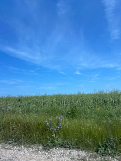 The image displays a vibrant outdoor landscape featuring a clear blue sky, a lush green field, and a gravel path. The dominant element is the bright blue sky, which occupies the upper two-thirds of the frame. It is mostly clear but adorned with delicate, wispy white clouds, characteristic of cirrus formations, streaking gently across.

Below the sky, a horizontal expanse of green foliage forms a vibrant field or meadow. This field is densely covered with tall, natural-looking grass and various wildflowers. Notable among these are patches of purple-blue flowers, primarily concentrated in the lower central part of the field, along with scattered small red and yellow blossoms throughout the greenery. The vegetation appears healthy and abundant.

To the right side of the image, bordering the green field, is a textured path made of light grey and brown gravel or packed dirt. This path runs vertically along the edge of the frame, providing a visual boundary for the field.

The scene depicts a bright and sunny daytime, likely morning or afternoon, given the well-lit landscape and the absence of harsh shadows. The weather appears clear and pleasant. The overall impression is one of a serene and natural rural setting in Kichevo, Bulgaria. There are no people, animals, or visible text in the image.