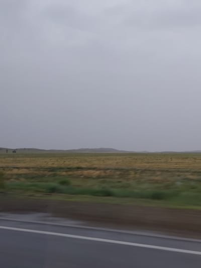 The image shows a desolate, overcast landscape with a wide, flat plain stretching to the horizon under a uniformly gray sky. The ground is covered in dry, yellowing grass, with patches of green vegetation closer to the foreground. In the distance, low, rolling hills are visible. A dark, blurred band across the foreground appears to be a road, with a white line indicating a lane divider. The overall impression is one of a rural, open, and possibly remote area, typical of steppe landscapes. The blurry nature of the image suggests it was taken from a moving vehicle. It is not possible to determine the exact location within Аршалы ауылдық округі, Kazakhstan from the image alone.