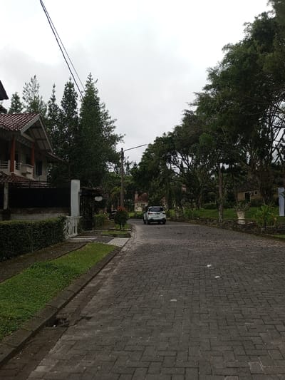 A gray brick road winds through a residential area under a cloudy sky. Trees line both sides of the street, partially obscuring houses. A white car drives along the road towards the viewer. On the left, a house with a red-tiled roof stands behind a green hedge and a stone fence with a white pillar. A utility pole is visible along the road.