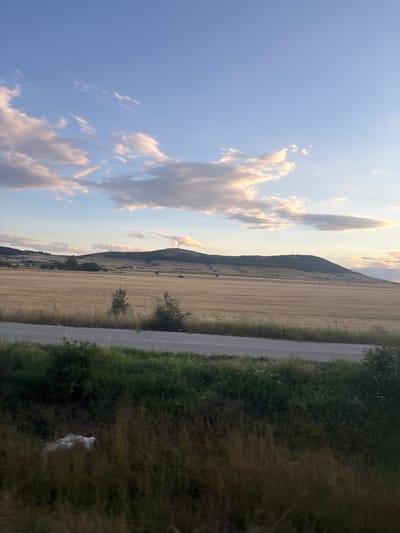 The image depicts a rural landscape in Naiden Gerovo, Bulgaria, under a partly cloudy sky. A vast, golden field, likely harvested wheat, stretches across the midground, meeting a rolling, tree-covered hill in the distance. A paved road runs horizontally across the lower portion of the frame, bordered by lush green grass and vegetation. In the foreground, dry, tall grasses partially obscure the view. A single, white plastic bag is visible amongst the foliage in the bottom left corner. The scene appears calm and undeveloped, consistent with the Bulgarian countryside.