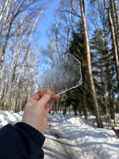 A human right hand, partially obscured by a dark blue jacket sleeve with a ribbed cuff, holds an irregular, translucent piece of ice with rough edges and visible air bubbles. The scene is an outdoor winter landscape within a wooded area of Zelenogradskiy, Russia. The ground is covered in white snow, featuring a distinct path or track. The background consists of a mixed forest under a clear blue sky, with numerous bare-branched deciduous trees, likely birches, visible on the left and taller coniferous trees with dark green foliage and brown trunks on the right.