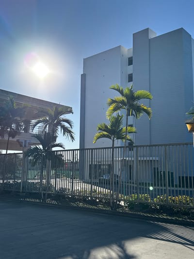 The image displays an outdoor scene rotated 90 degrees clockwise, capturing a bright, sunny day. The primary subjects are a modern, multi-story white building, several palm trees, and a long metal fence bordering a paved surface.

The white building, featuring a clean, minimalist design with several visible windows, occupies the upper half of the image (when viewed upright). Its facade is stark white, reflecting the bright sunlight. In front of the building, a row of slender palm trees with vibrant green fronds stands out, their leaves partially backlit by the sun, creating a luminous effect.

A long, gray metal fence runs horizontally across the middle of the frame, acting as a clear divider between the building and the paved area in the foreground (when viewed upright). Beyond the fence, the paved surface, likely a road or sidewalk, shows distinct, elongated shadows cast by the fence and trees, indicative of direct sunlight.

The bright sun is a prominent feature, positioned towards the lower left of the upright image, causing a significant lens flare and strong illumination across the scene. The sky is clear and blue, suggesting good weather conditions. No specific activity or people are visible. There is no discernible text in the image. The architectural style, palm trees, and bright sun are consistent with the location context of Hialeah, United States of America.