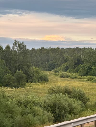 The image depicts a rural landscape on a cloudy day, likely near Ostrovskoe, Russia. In the foreground, a metal railing runs horizontally across the bottom of the frame, suggesting a viewpoint from a bridge or overpass. Beyond the railing, dense green foliage and bushes occupy the lower portion of the image.

The mid-ground features a field of tall, yellow-green grass interspersed with white wildflowers, leading towards a dense line of trees that forms the horizon. This tree line consists primarily of deciduous trees, with birch trees being noticeable due to their white bark. A few scattered taller trees stand out within this forest.

The sky above is filled with a mix of gray and light pink clouds, with a distinct patch of illuminated, yellowish clouds on the horizon, possibly indicating an area where the sun is attempting to break through. The overall impression is one of a natural, undisturbed landscape. No people or animals are visible in the image.
