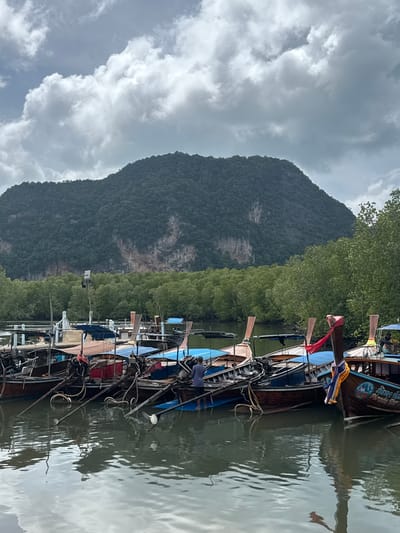 The image depicts a scene at a pier in Ban Hin Rom, Thailand, featuring a row of traditional longtail boats docked in the water. The boats, primarily made of wood, are varied in color with blue and brown canopies providing shade. Some boats are adorned with decorative ribbons and tassels. In the foreground, the water reflects the boats and the overcast sky. A person in a blue shirt is visible standing on one of the boats, appearing to be attending to it. In the background, a dense green forest lines the water's edge, with a large, tree-covered mountain rising behind it. The sky is filled with dramatic, grey clouds, suggesting an impending change in weather. The overall atmosphere is one of a working harbor, with the natural landscape providing a dramatic backdrop.