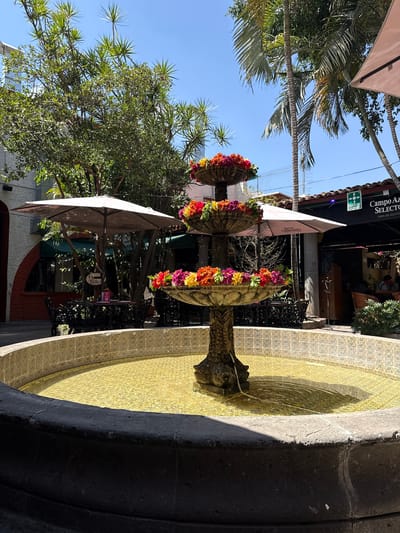 An outdoor scene in Tlaquepaque, Mexico, features a three-tiered, stone-like fountain as the central subject, positioned in the foreground. The fountain's basins are filled with yellowish water and lined with decorative light-colored tiles featuring a geometric pattern. The three tiers of the fountain are adorned with dense arrangements of artificial flowers in red, orange, pink, yellow, and purple hues. The base of the fountain column exhibits a sculptural element resembling a dolphin.
Surrounding the fountain are various elements of an outdoor dining or recreational area. Several large, light-colored patio umbrellas provide shade, with one clearly displaying "TEQUILA CRISTALINO" and another "CORONA TRADICIONAL." Underneath these umbrellas and within shaded areas are multiple tables and chairs, predominantly constructed from dark, possibly wrought-iron, material. A wooden sign reading "BAÑOS" is visible near one seating arrangement.
In the background, a building with white stucco walls and a dark, possibly red-tiled roof is visible. An arched entryway can be seen on the left. To the right, a darker awning overhangs an entrance, featuring white text that reads "Campo Azul Selecto" and "100% DE AGAVE." Above this, a green sign with a white person symbol and "PUNTO DE REUNIÓN" (meeting point) is affixed. Within the shaded area under the "Campo Azul Selecto" awning, several individuals are seated at tables, their specific actions not clearly discernible.
The environment is characterized by abundant green foliage, including tall palm trees and other broad-leafed trees, some with spiky leaves, providing natural shade. A clear, bright blue sky is visible overhead, indicating a sunny day. The scene suggests a vibrant public or commercial space.