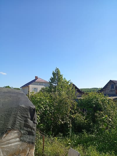 The image depicts a rural scene with clear blue sky overhead, possibly in or around Buțeni, Moldova. In the foreground to the left, a large object is covered with a black mesh tarp, with a translucent material visible underneath, suggesting it might be a structure or stored items. Adjacent to this, a wire fence runs along the bottom right of the frame, bordering overgrown green vegetation and tall grass. Behind the foreground elements, a two-story house with a red-tiled roof and light-colored walls stands prominently. The house has several windows, including two triangular dormer windows on the upper floor, and a brick chimney. To the right of this house, more dense green foliage partially obscures another structure, which appears to be a wooden building with a dark, possibly corrugated, roof. Further in the distance, a rolling, tree-covered hillside is visible under the bright sky. The overall impression is a sunny day in a somewhat overgrown, residential area.