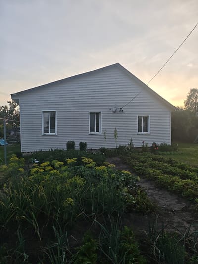 The image depicts a rural scene at dusk in Гарочыцкі сельскі Савет, Belarus. A simple, light-colored house with a gabled roof and horizontal siding is the central object. It has three windows and a satellite dish mounted on the exterior wall. In the foreground, a garden is visible, filled with various plants, including leafy green vegetables, taller plants with yellow flowers, and some small flowering bushes with pink and red blooms. A white garden gnome or statue is also visible amongst the plants. The sky is overcast with a soft glow from the setting sun, indicating evening. A thin electrical wire stretches diagonally across the upper right portion of the frame. The overall atmosphere is peaceful and domestic. There is no visible text in the image.