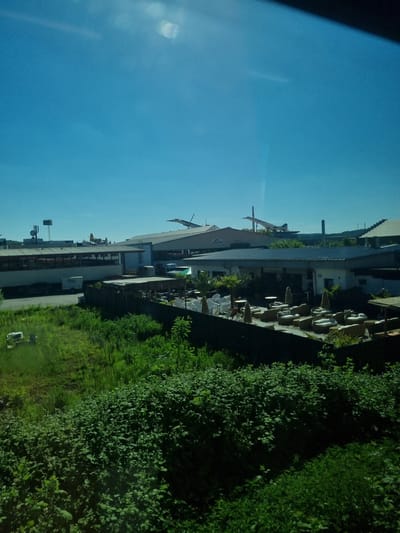 The image shows a view in Sinsheim, Germany, encompassing an expanse of clear blue sky juxtaposed with a cityscape and greenery. From left to right, the sky dominates the upper portion of the image. Adjacent to the sky, several buildings line the horizon, with rooftops and exterior walls clearly visible. A chimney can be seen protruding from the buildings.

The lower portion of the image is largely filled with vegetation, including overgrown hedges and grassy areas that suggest wild growth. There is a visible outdoor seating area with tables and chairs. A possible satellite dish is attached to a building. A vehicle or piece of equipment is parked or stored in one of the overgrown areas.