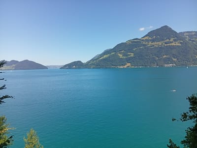 An eye-level, medium-shot captures a panoramic view of a vast, tranquil turquoise lake, likely Lake Lucerne, with lush green mountains rising in the background. The sky is a clear, bright blue, with a single small cloud visible to the right of the largest mountain.
In the distance, across the water, several towns and villages are nestled along the shoreline, with buildings appearing as small clusters of white and pastel colors. The mountainous landscape is densely covered with dark green trees, interspersed with patches of lighter green and yellow, suggesting meadows or agricultural areas on the slopes. The prominent mountain in the right half of the image has a rounded peak and slopes that are heavily wooded, with some lighter colored areas visible higher up.
On the water, a few small vessels are present. A white sailboat is visible in the far right distance. Closer to the center, a small, white motorboat is moving from left to right, leaving a subtle wake. In the far left distance, another small white boat is visible.
The foreground is partially obscured by dark green foliage from trees on the left and right sides of the frame, framing the expansive lake and mountain scenery. The water's surface is gently rippled, creating a textured appearance. The overall scene depicts a serene and picturesque natural landscape, characteristic of the Swiss Alps.