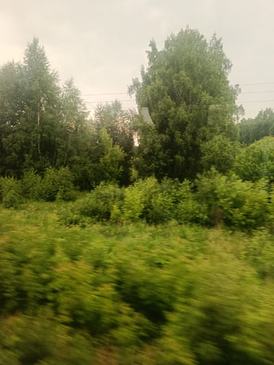 The image depicts a blurred, motion-filled view of lush green foliage and trees against an overcast sky. The scene appears to be captured from a moving vehicle, with the foreground exhibiting a strong sense of horizontal streaking due to movement. Tall, dense trees with rounded canopies dominate the midground and background, interspersed with smaller bushes and undergrowth. The overall impression is one of a natural landscape, likely a roadside or rural setting, given the blurred movement and the presence of what appear to be telephone wires in the upper portion of the image. No people or specific structures are clearly identifiable due to the blur. The lighting suggests it is daytime, possibly late afternoon or early morning, with diffused light.