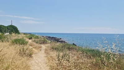 The image depicts a coastal landscape in Leporano, Italy, characterized by a narrow, sandy path winding through dry, golden grasses and scattered green bushes. The path leads towards the Mediterranean Sea, which is a vibrant blue, meeting a rocky shoreline. In the distance, a line of lush green trees forms a backdrop to the coastal vegetation. The sky above is a clear, pale blue with a faint horizontal cloud formation. A small, dark object, possibly a structure or a bird, is perched on top of a tall, slender pole situated on a vegetated mound near the left edge of the frame. The overall scene is one of natural beauty and tranquility, typical of a Mediterranean coastline.