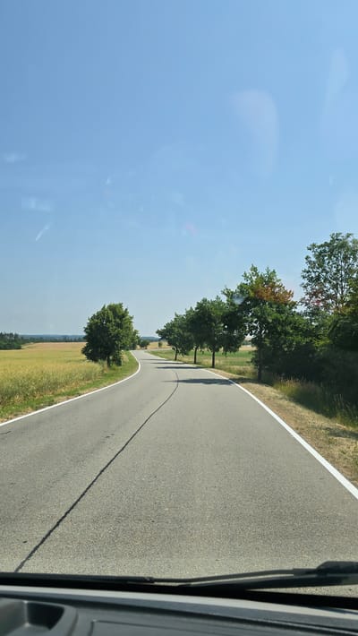 A paved, two-lane road curves through a rural landscape under a clear blue sky. The road is bordered by a white line on the right and a lighter colored shoulder. On the left, a field of golden grain stretches to the horizon, with a few trees scattered along its edge. On the right, a line of deciduous trees, some with red-tinged leaves, grows along the roadside. The perspective is from inside a vehicle, with the lower edge of the windshield and dashboard visible in the foreground. The image depicts a scenic drive through the countryside, likely on a summer day. The location is specified as Vilémovice, Czechia.