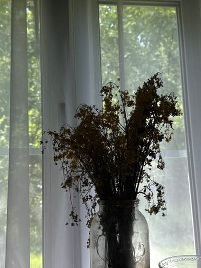 A bouquet of dried flowers in a glass jar is placed on a surface in front of a window. The window is covered by sheer white curtains, through which the green foliage of trees is visible. The image is taken indoors, with the natural light from the window illuminating the scene. The overall mood is serene and natural. The location is a home in the city of Ivan'kovo, Russia.