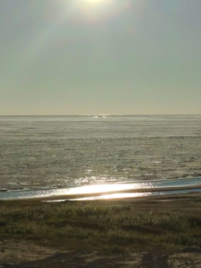 The image shows a wide, flat expanse of water, possibly a bay or estuary, under a bright, hazy sky with the sun prominently featured and creating a glare. The water's surface is mostly calm with some rippling and reflections. In the foreground, there is a strip of land with dry, sparse vegetation and a sandy or muddy texture. The overall impression is of a desolate, open landscape, characteristic of a coastal or tundra environment. The scene is likely located in Yamburg, Russia, a settlement in the Yamalo-Nenets Autonomous Okrug known for its Arctic climate and proximity to the Taz Estuary.