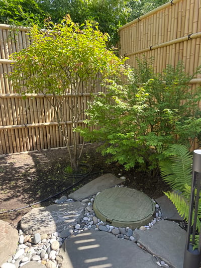 The image depicts an outdoor scene in a garden setting, likely in Лапино Град Кп, Russia. The primary subjects are lush green foliage, a bamboo fence, and large, flat stones arranged around a circular green manhole cover. A fern is visible, as are two trees with delicate green leaves and some faint pink blossoms. The ground is covered with dark soil and small grey and white pebbles. Shadows from the foliage and an unseen structure are cast across the ground and stones, suggesting a sunny time of day. The overall impression is one of a well-maintained, naturalistic garden feature, possibly around a utility access point. There is a metallic post or light fixture visible in the upper right corner of the image. No people are visible. The weather appears to be clear and sunny. Some faint, unreadable text is present on the manhole cover.