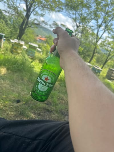The image captures a person's arm and hand holding a cold, green Heineken beer bottle. Condensation is visible on the bottle, indicating its chilled temperature. The label clearly displays "Heineken ORIGINAL," "PURE MALT," "LAGER," a red star logo, and "EST. 1873." In the background, a vibrant natural environment unfolds under a bright, sunny sky. Lush green trees with abundant foliage and patches of grass dominate the scene. Several wooden structures resembling beehives are scattered among the greenery, suggesting an apiary or a rural setting in Balabanovo, Bulgaria. The person appears to be wearing dark clothing, part of which is visible on the right side of the frame. The scene is illuminated by daylight, conveying a clear and pleasant outdoor atmosphere.