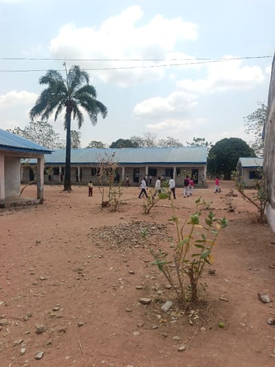 This image depicts an outdoor scene within a compound, likely a school, located in Mada, Nigeria. The ground is composed of reddish-brown dirt mixed with gravel and sparse, dry vegetation. The sky is partly cloudy with white cumulus formations.

Three single-story buildings with light blue corrugated metal roofs are visible. The main structure is a long building spanning the mid-ground, featuring multiple rectangular openings along its facade. A partial view of a similar building is on the far left, and another on the far right. The building walls are light-colored.

Approximately 15-20 individuals, appearing to be students and possibly adults, are present. Many are dressed in school uniforms consisting of white shirts and dark trousers or skirts. A group of five individuals in white shirts and dark bottoms walks from left to right in the mid-ground. Other similarly dressed individuals are seen near the central building. One child in the left-mid-ground wears a dark top and maroon shorts/skirt. Several individuals on the right side of the mid-ground wear pink tops and dark bottoms. Individuals are either standing or walking within the compound.

A tall, mature palm tree with dark green fronds stands prominently in the left-center, behind the main building. Several smaller, leafy green shrubs are planted in the foreground and mid-ground, some bearing small green, spherical fruits. Additional trees are visible in the distant background behind the buildings. Thin, dark utility wires traverse horizontally across the upper portion of the sky.