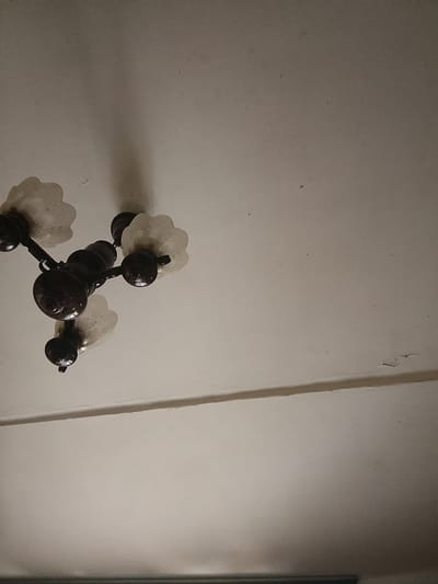 A close-up, low-angle shot captures a dark, ornate chandelier attached to a white ceiling. The chandelier features a central stem from which multiple arms extend, each holding a frosted, flower-shaped glass shade. Some of the shades appear to be lit, casting a soft glow, while others are unlit. The dark metal of the chandelier is textured, possibly with a rubbed bronze finish, and has decorative, bulbous elements. The ceiling itself is plain white, showing some subtle imperfections and a horizontal line, suggesting a joint or molding. The overall lighting is dim, creating a shadowed and slightly mysterious ambiance, hinting at an indoor setting, likely a home or a dimly lit public space. The image is cropped to focus on the chandelier and a portion of the ceiling. No people are visible, and no text is present in the image. The lack of distinct external cues makes it difficult to pinpoint the exact time of day or weather conditions, but the indoor setting suggests it is irrelevant to the scene.