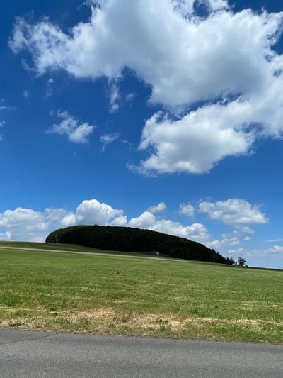 The image depicts a rural landscape under a bright blue sky with scattered white cumulus clouds. In the foreground, a paved road runs horizontally across the bottom of the frame, its dark asphalt contrasting with the lush green grass that extends uphill. A line of dry, yellowed grass and vegetation separates the paved road from the greener field.

Dominating the mid-ground and background is a large, oval-shaped hill densely covered with dark green trees, forming a forest. The hill slopes gently upwards from the viewer's perspective. A small, light-colored building, possibly a shed or a small house, is visible nestled amongst the trees on the left side of the hill. To the right of the hill, a few scattered trees stand on the horizon. The overall environment suggests a peaceful, natural setting outside of a city.

The image does not contain any people, actions, or interactions. The location is identified as being in the city of Schwarzenborn, Germany.