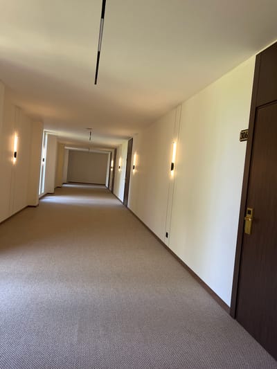 This is a photograph of a hotel hallway in Pitsunda, Abkhazia. The hallway is carpeted in a neutral, textured fabric and features plain white walls with dark wood trim along the floor. Linear, vertical light fixtures are mounted on the walls at intervals. The hallway recedes into the distance, suggesting a long corridor. On the right side of the image, a dark brown wooden door is visible, marked with a small black sign displaying the number "306" in yellow text. A gold-colored door handle and lock are also present on this door. The ceiling is smooth and white, with a long, black, rectangular lighting fixture embedded in it. The overall impression is one of modern, minimalist hotel design.